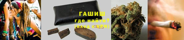 шишки Белокуриха
