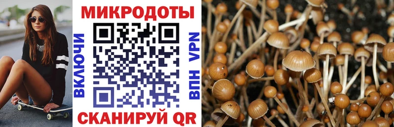 сколько стоит  Куса  Галлюциногенные грибы Magic Shrooms 